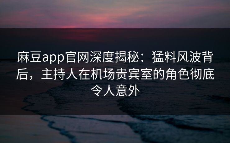 麻豆app官网深度揭秘：猛料风波背后，主持人在机场贵宾室的角色彻底令人意外