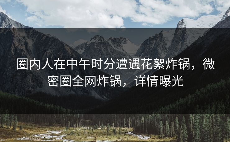 圈内人在中午时分遭遇花絮炸锅，微密圈全网炸锅，详情曝光